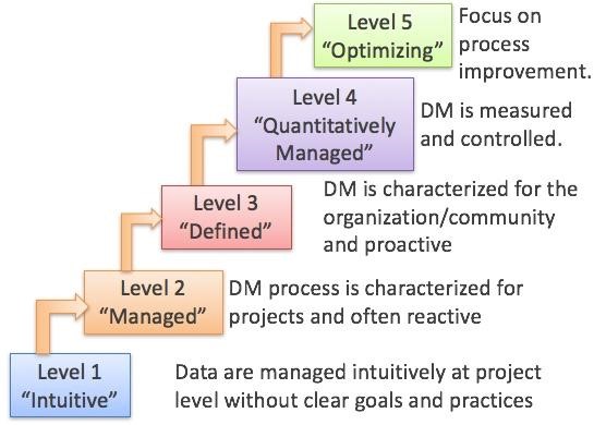 5 maturity levels